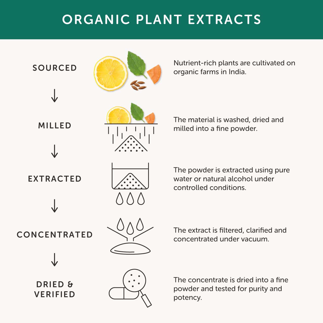Together-Health-organic-plant-extraction-process
