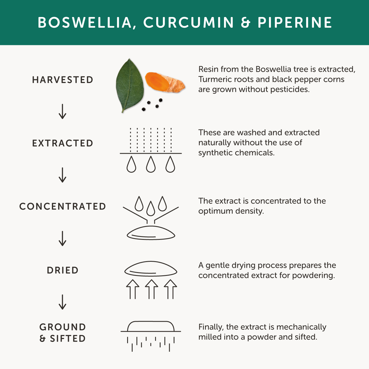 Together-Health-Joint-Aid-ingredient-flow